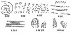 數(shù)控加工中心的切屑能反應(yīng)哪些加工情況？